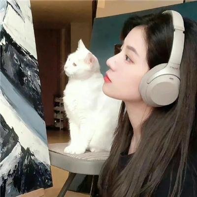 狂欢三宝